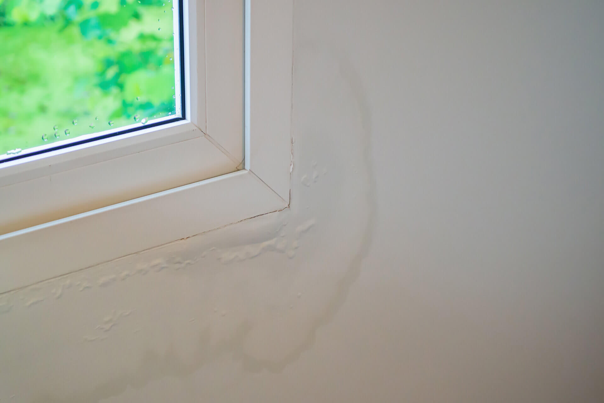 Damage from a leaky window.