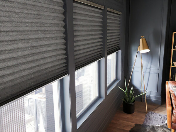 Motorized Blinds & Shades